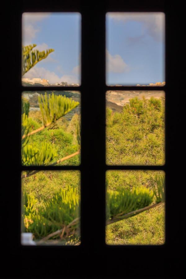 Aerno Home & Azul Ηοme - Ahilli Slow Living Kamari  Bagian luar foto